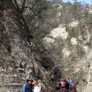 오대산서울 이미지