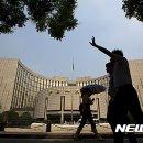 중국채 이미지