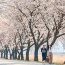 청도군-7 이미지