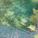 내린천의 봄 이미지