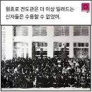 감람