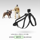 시선을담다
