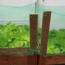 기로(여)경로당 이미지