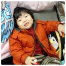 초해식당 이미지