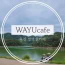 대전 세종근교카페추천 보트체험 옥천방아실카페 &#34;와유&#34;