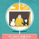 디아나동물병원 이미지