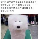 교보타워 이미지
