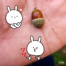 함열고등학교 | 함라산 등반기(주목적 : 감나무골함라산갈매기 본점가기)
