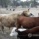 김기성 농장 이미지