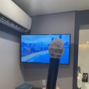 인싸피시 이미지