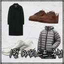 니트디자인(주간) | 무신사 주간 랭킹으로 본 1월 위시리스트 에어 포스, 경량 패딩, 코트, 더비, 숏패딩 리뷰