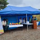 제주여자중학교 이미지