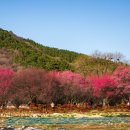 본마을3길 16 이미지