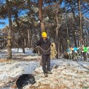 죽화초등학교 이미지