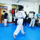 중앙체육원 이미지