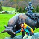 순흥목장 이미지