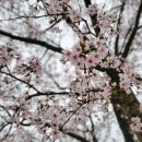 은석캠핑장 이미지