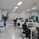 더라이징스타헤딩 이미지