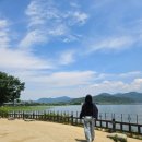 365모터스 | 서울 근교 여행 추천 두물머리 솔직 후기 주차, 핫도그, 산책 코스까지