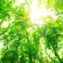 시원환경 이미지