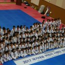 국가대표 백호 태권도장 이미지