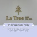 라트리 | [뷰티] 평거동 모발 비건 클리닉 라트리헤어 스파힐 후기