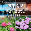 피아크(주) | 6월 부산 가볼만한곳 영도 피아크 국립해양박물관 아미르공원