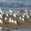 거제-거제-거제-비상-09 이미지