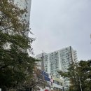 [약수역 꽃집 / 클래식 플라워] 옥수동 꽃집 꽃다발 솔직후기