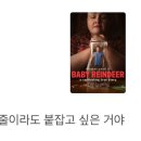 레인디어 이미지