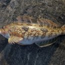 구름포오토캠핑장 이미지