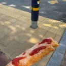 청춘꽈배기 순천본점 | 순천 노랑고래 본점 치즈핫도그 꽈배기 맛집 주차 후기