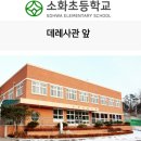 중앙기독초 이미지