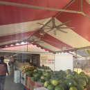 여흥목장 | 요세미티 국립공원 여행 1일차 feat 요셈투어