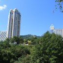 봉평메밀집 이미지