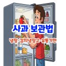 사과 보관법 총정리 (냉장·김치냉장고·유통기한 총정리)