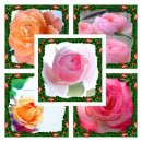 18회차 - 포토스케이프(사진편집) 이미지