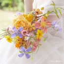스튜디오괄호 이미지