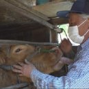 황수만 농장 이미지