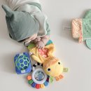 토이박스 | 스엔코 토이박스 후기 대근육 발달 소근육 발달 도움되는 아기 장난감 리뷰