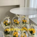 부천동초등학교병설유치원 이미지