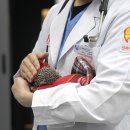 초로동물병원 이미지