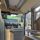 분수광장약국 | 베트남 푸꾸옥 그랜드월드 분수쇼 등 구경하기