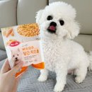 바우와우 | 내돈내산 다이소 강아지 간식 추천 - 바우와우 당근 치즈볼 솔직 후기