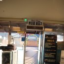 옥상조개구이&홍게무한리필 | [동해 맛집] 동해 묵호항 근처 맛집 “옥상조개구이&amp;홍게무한리필”