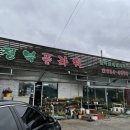 기버플라워 이미지