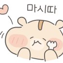 황솔촌충장점 이미지