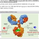 글로벌시장판도변화에따른 기회요인찾기(SK증권_제약/바이오)