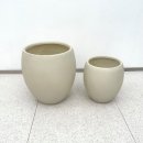 진례미용실 | 부산 대연동 미용실 몬스테라 출장분갈이 후기