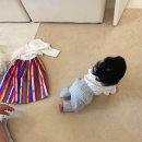 아이러브카직영점 | 창원 돌 촬영 아이러브스튜디오 _ 달항아리 컨셉이 예쁜 아기 돌 사진관